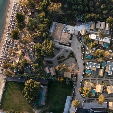 Ergon Beach House Nikiti Zewnętrze zdjęcie