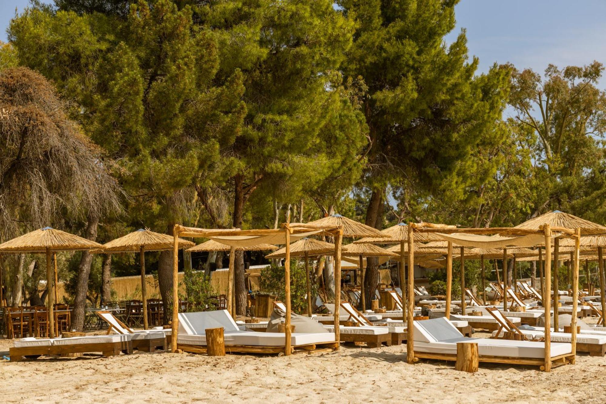 Ergon Beach House Nikiti Zewnętrze zdjęcie